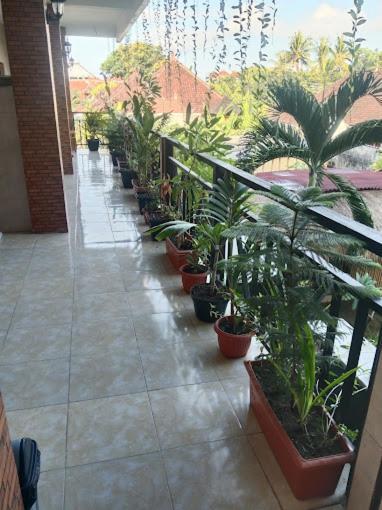 Grace Paradise Guest House نوسا ليمبونغان المظهر الخارجي الصورة
